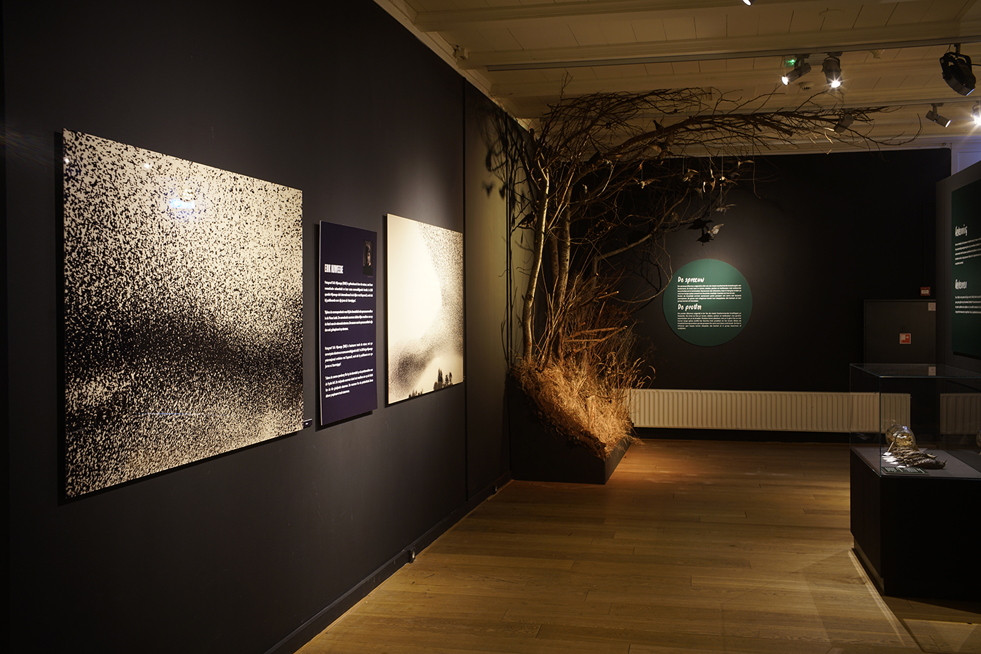 Natuurmuseum Fryslan